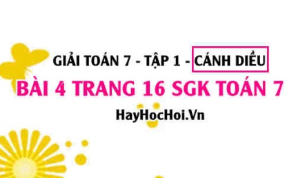 Giải bài 4 trang 16 Toán 7 Tập 1 SGK Cánh Diều